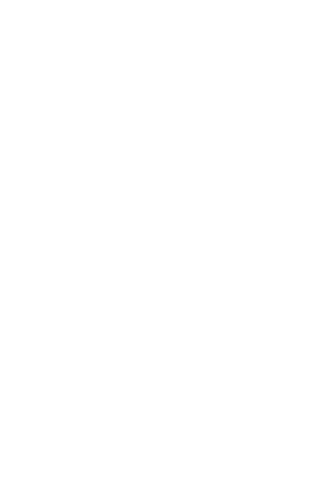 Benzinefilter KSB